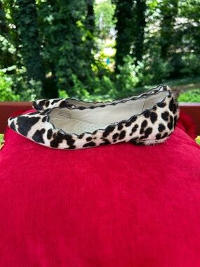 Boden Leopard Print Pointed Toe Ballet Flat - Beige & Black